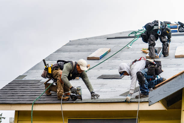 Professional Roofing technician working in Bernard, IA